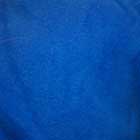 Fabric 16 - Blue Microfleece